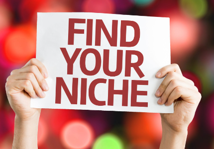 How Choosing the Perfect Niche for Your Dropshipping Business
